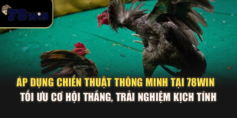 Áp dụng chiến thuật thông minh tại 78Win – Tối ưu cơ hội thắng, trải nghiệm kịch tính